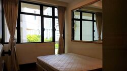 Valley Park (D10), Condominium #479831861